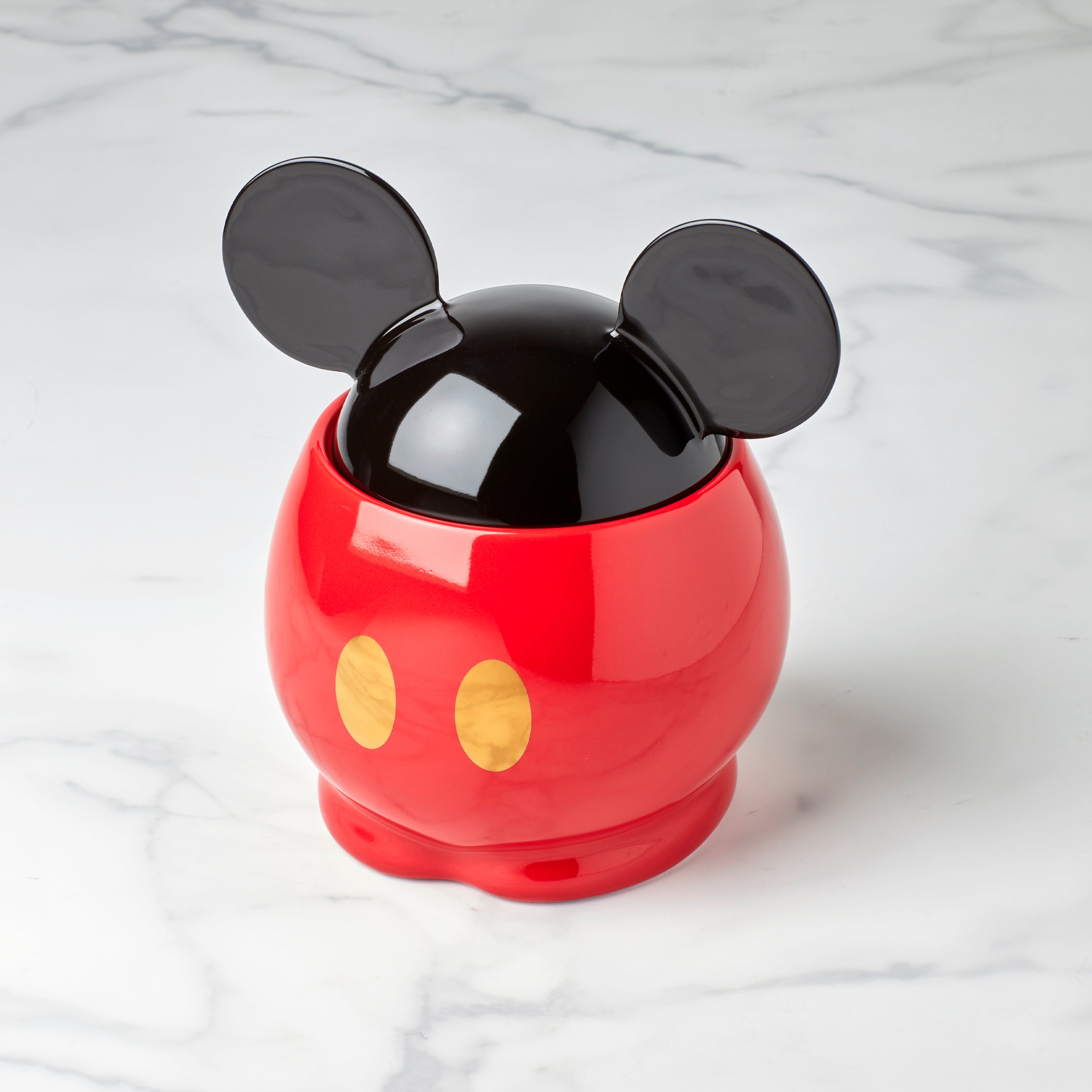 Mickey Mouse Pet Treat Jar with Disney Design | Cute Pet Storage