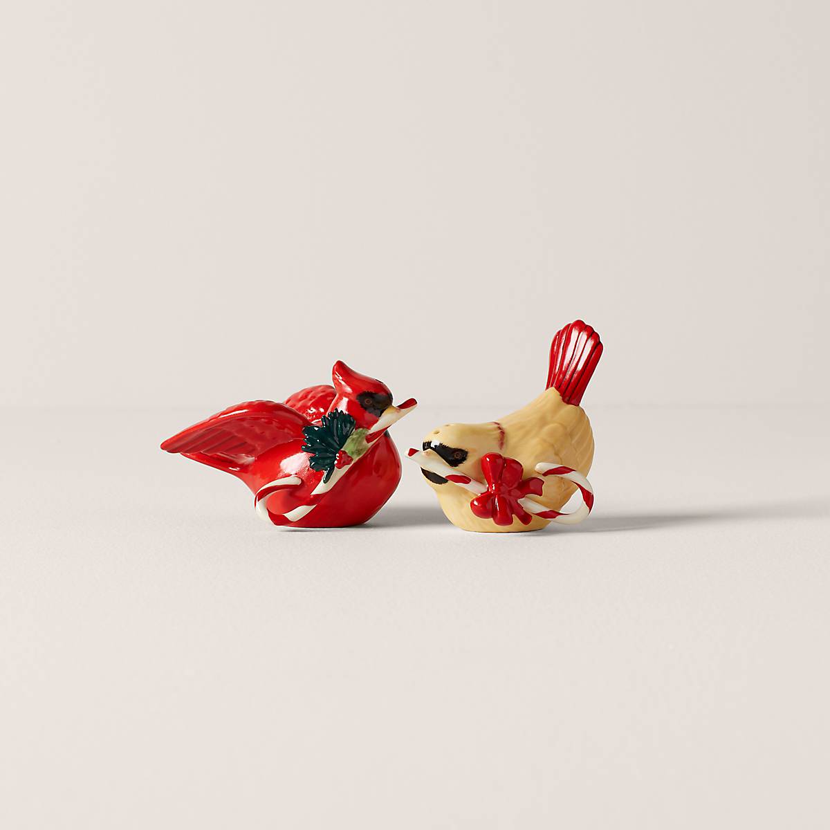 Winter Bird Salt & Pepper Shaker Set | Ivory Bone China