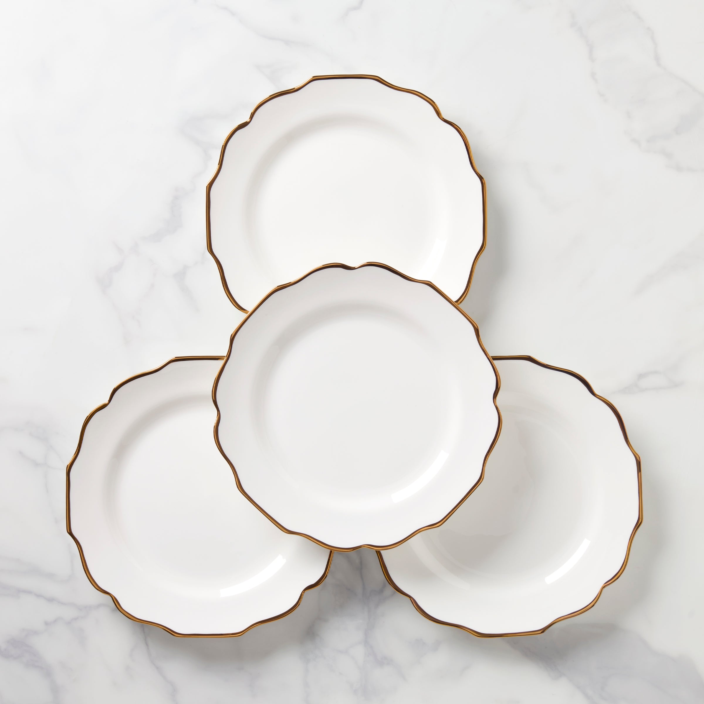Microwave-Safe Porcelain Dinner Plates with Gold Trim | Contempo Luxe