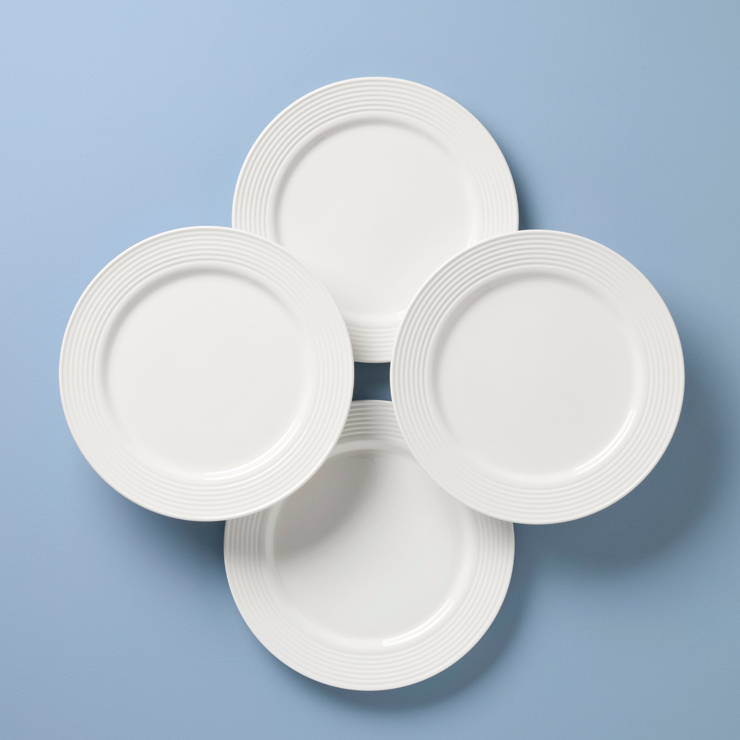 Porcelain Dinner Plates Set of 4 - Dishwasher & Microwave Safe | Tin Can Alley