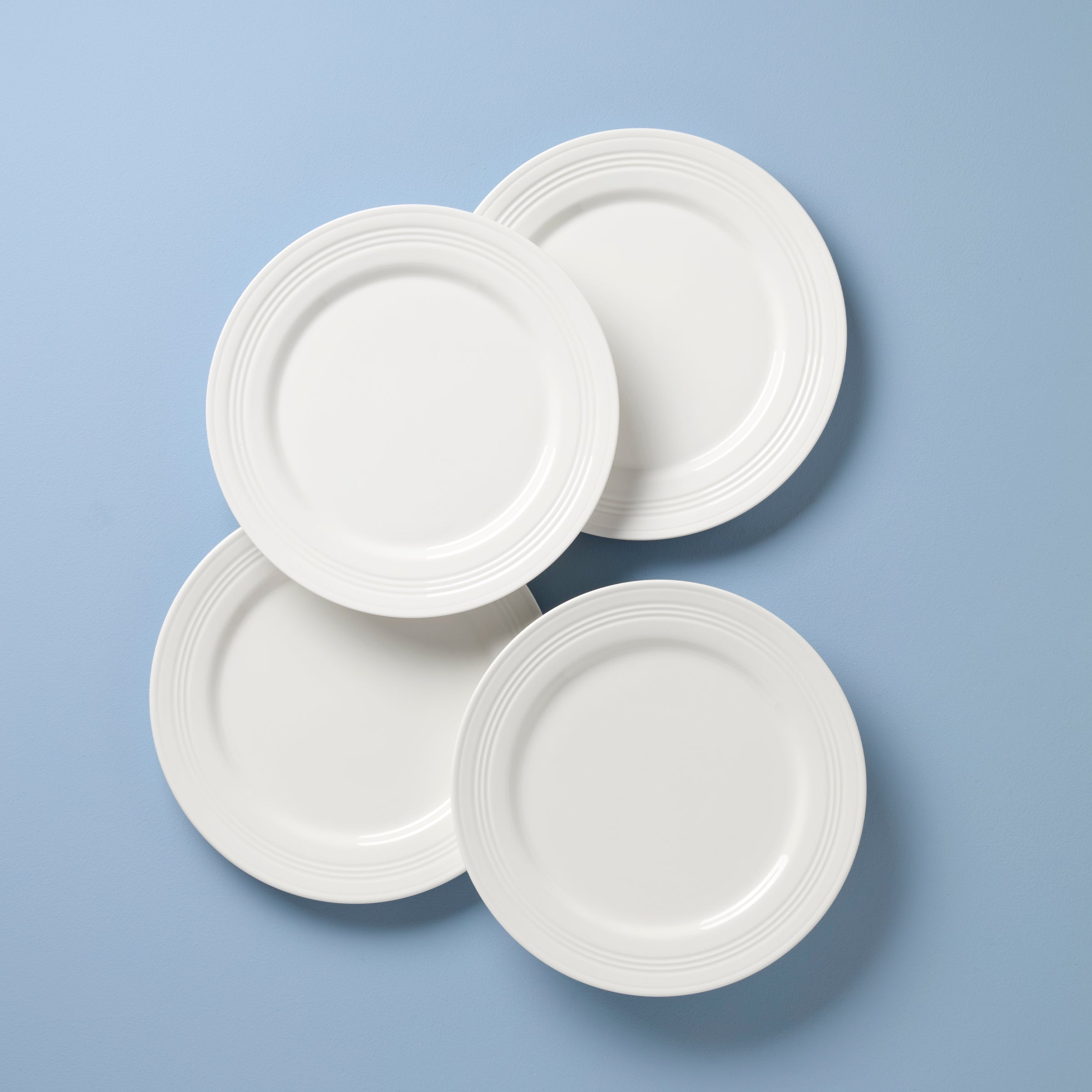 Porcelain Dinner Plates Set of 4 - Dishwasher & Microwave Safe | Tin Can Alley