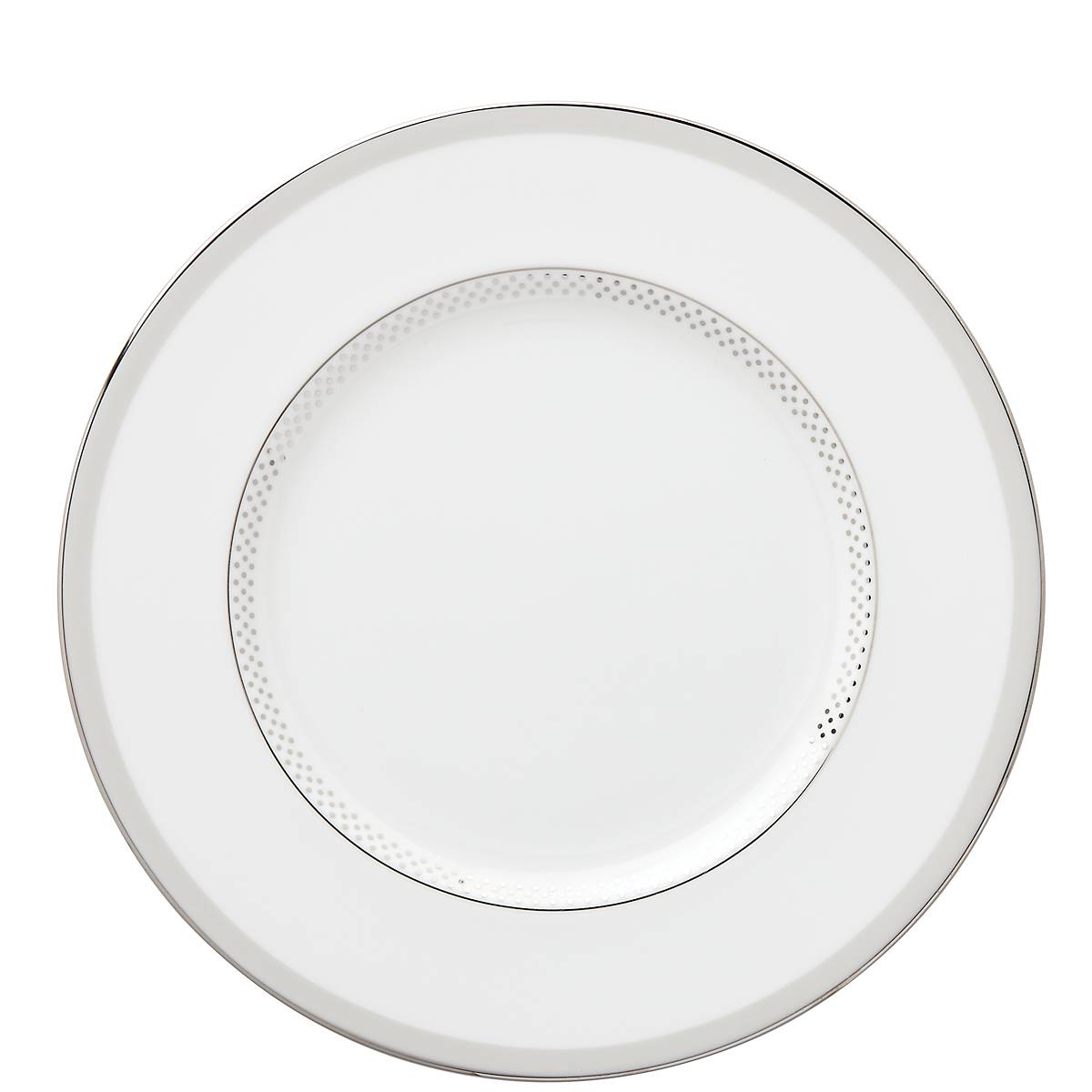 Elegant Platinum Trim Accent Plate for Formal Dining | Whitaker Street