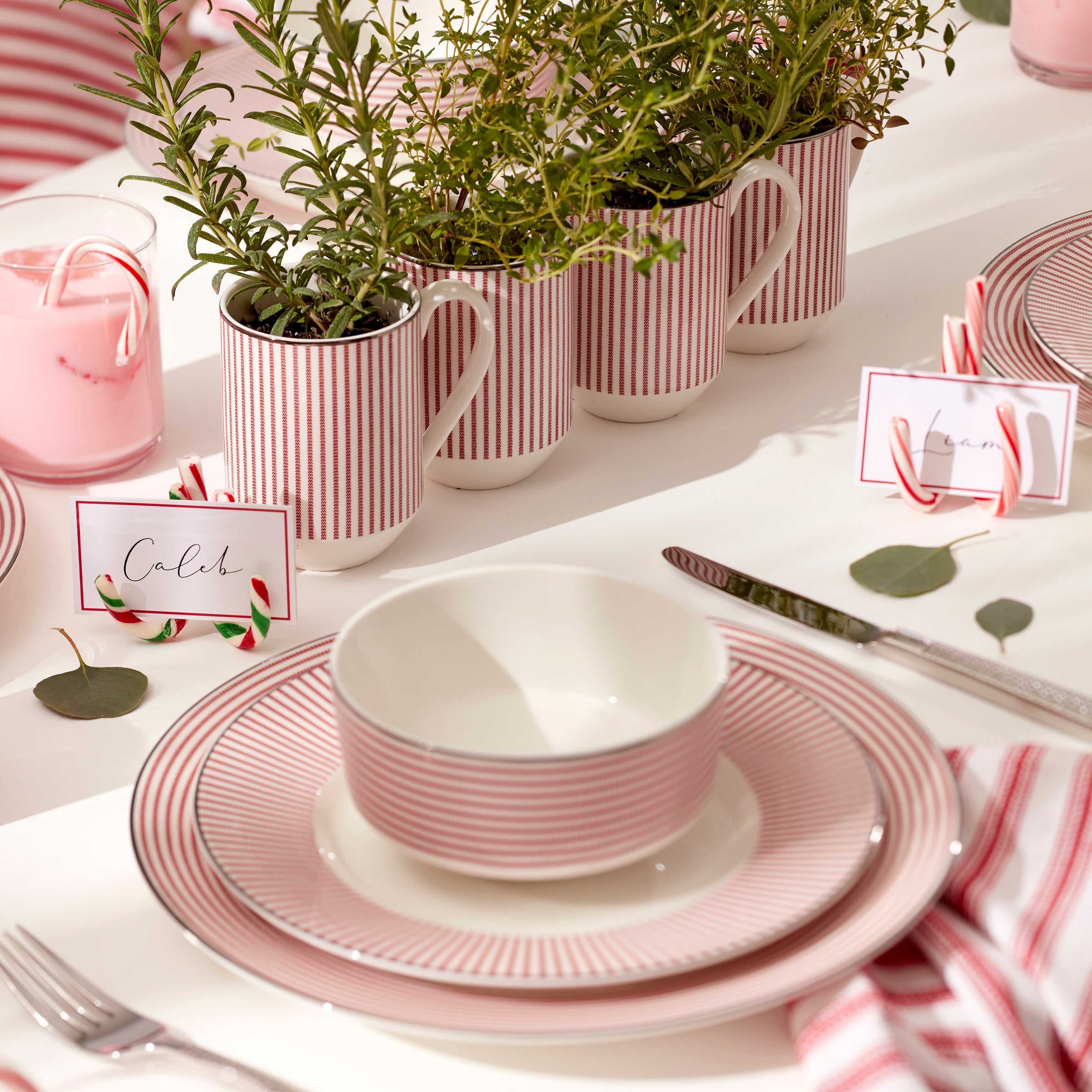 Stainless Steel Flatware Set with Rope Motif | Kate Spade Wickford