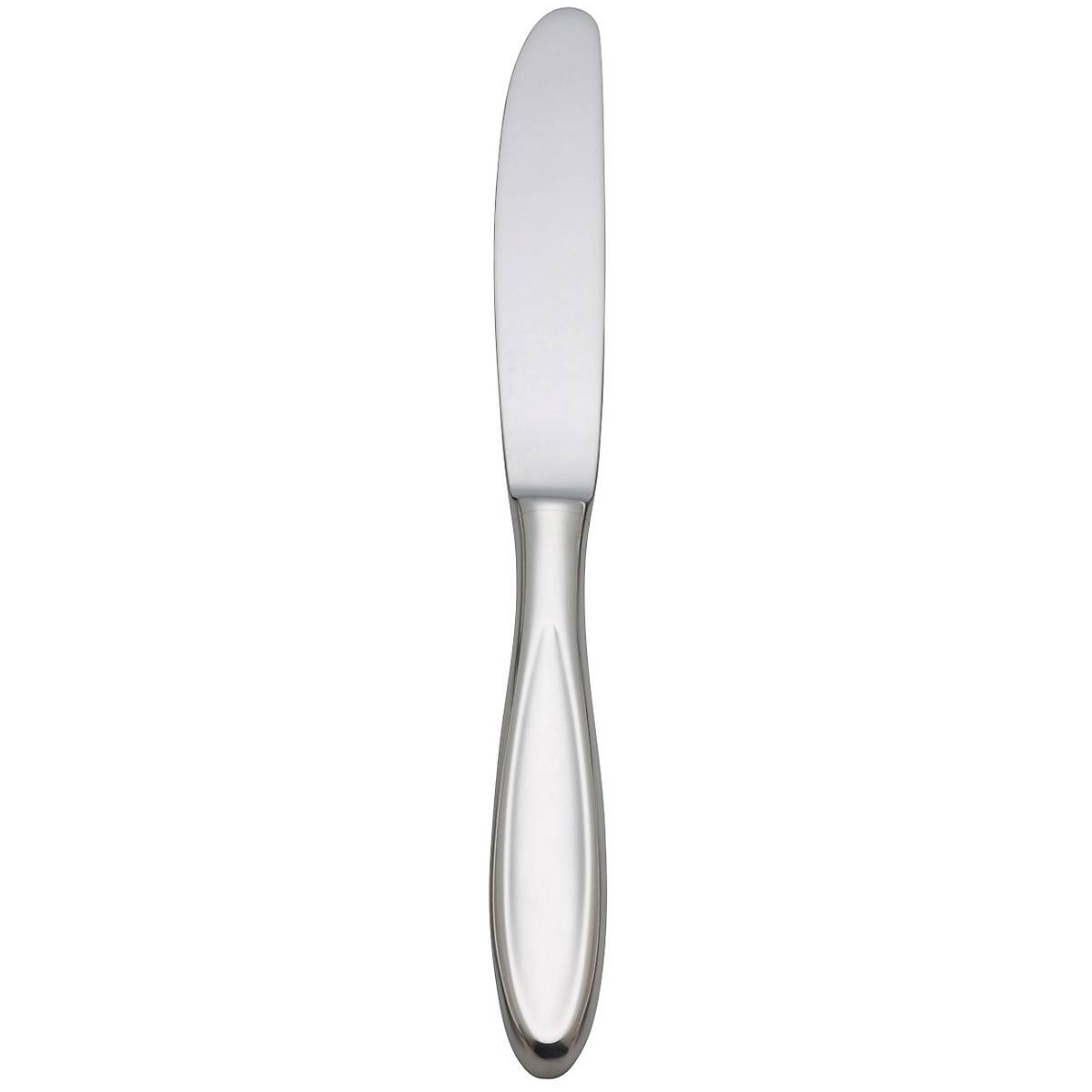 Holliston Dinner Knife - 9.6 Inch Contemporary Place Knife