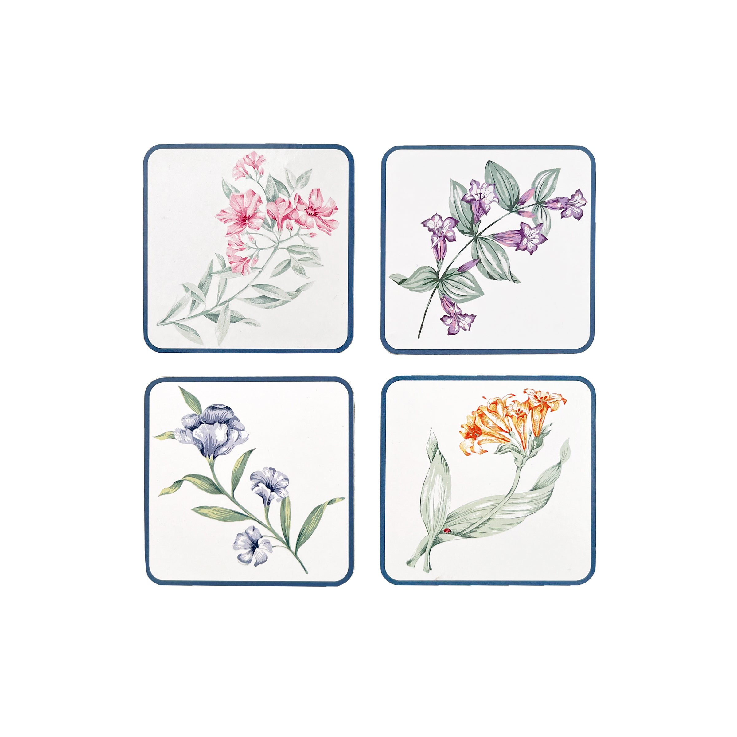Floral Corkback Coasters Set of 4 | Butterfly Meadow