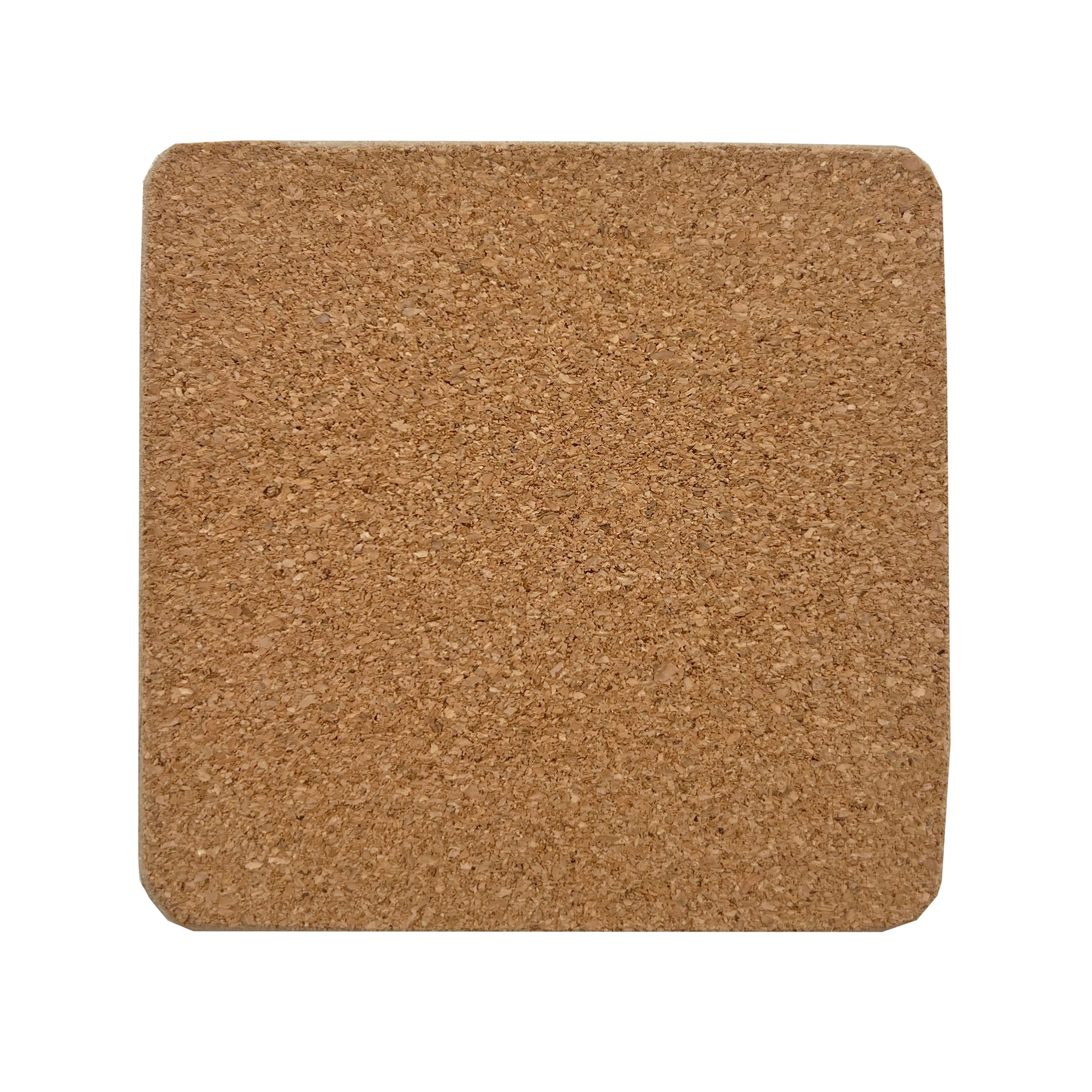 Floral Corkback Coasters Set of 4 | Butterfly Meadow
