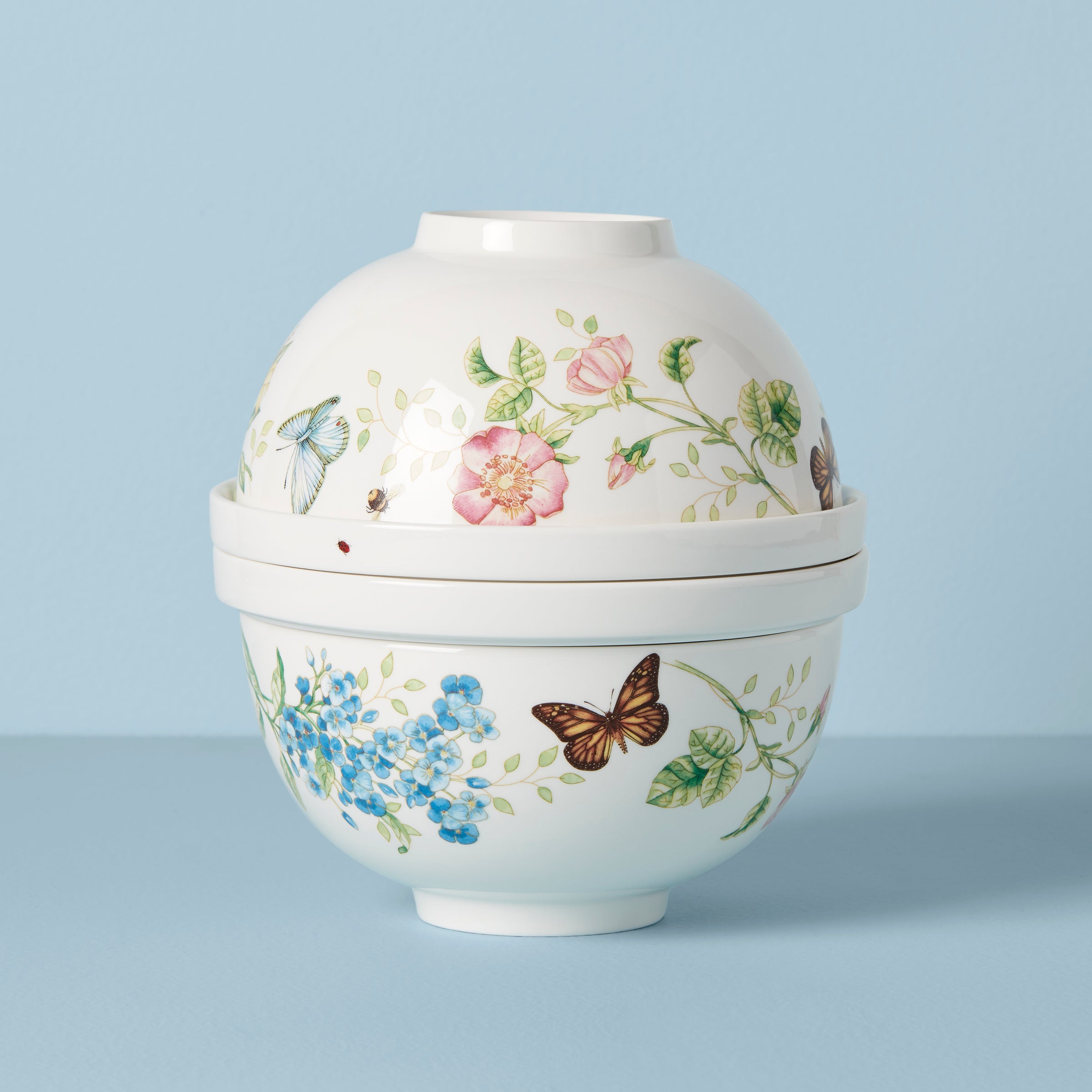 Butterfly Meadow Porcelain Dinnerware Set | 8-Piece Nesting Dishes
