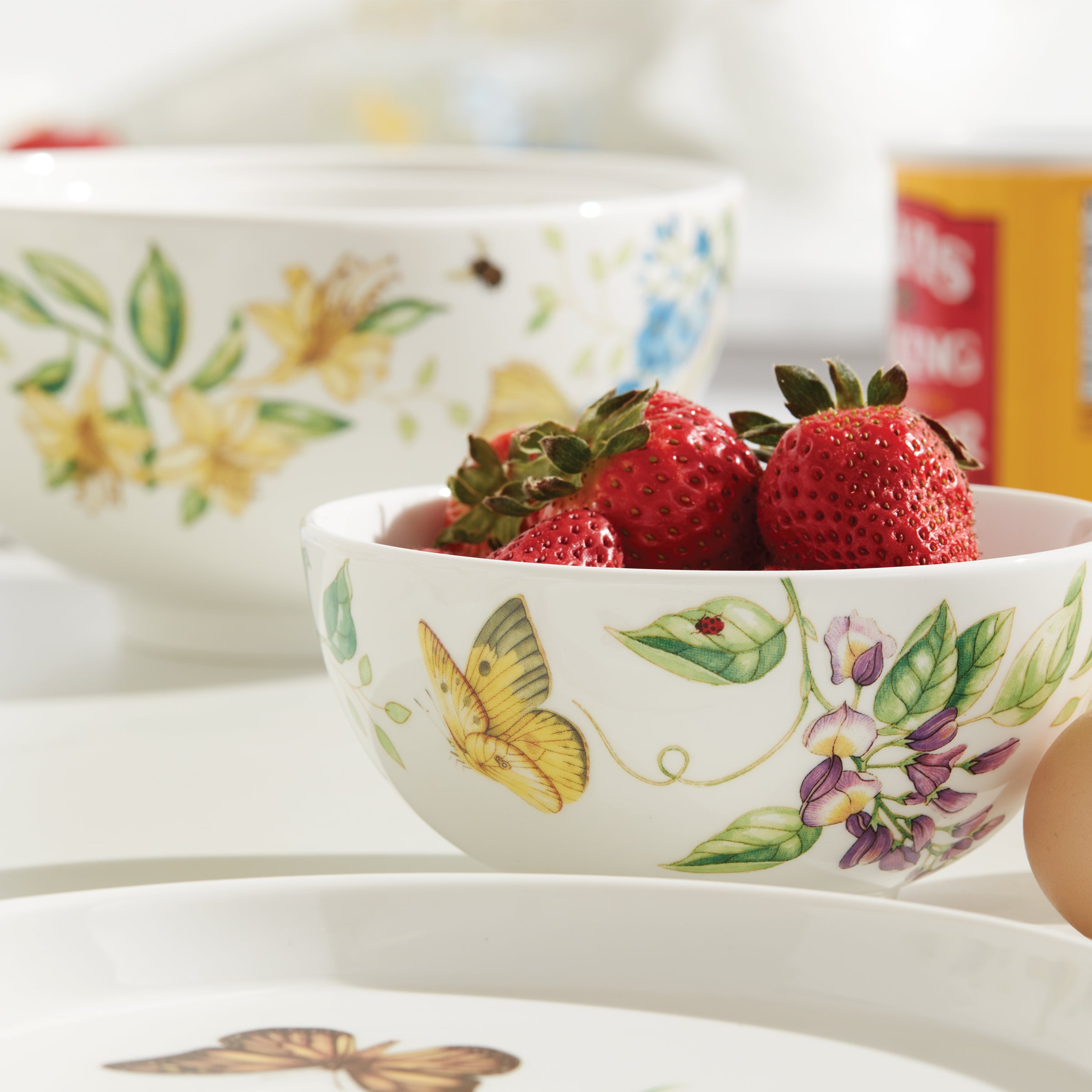 Butterfly Meadow Porcelain Dinnerware Set | 8-Piece Nesting Dishes