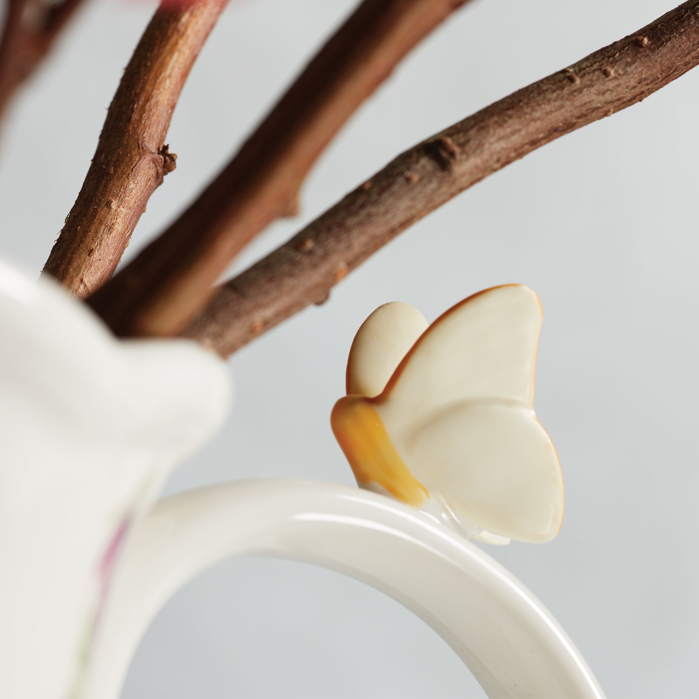 Butterfly Meadow Porcelain Pitcher with Scalloped Edge | Floral Design